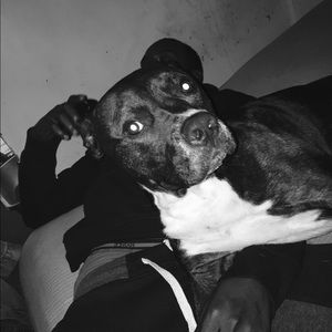 Meet your Posher, Walter